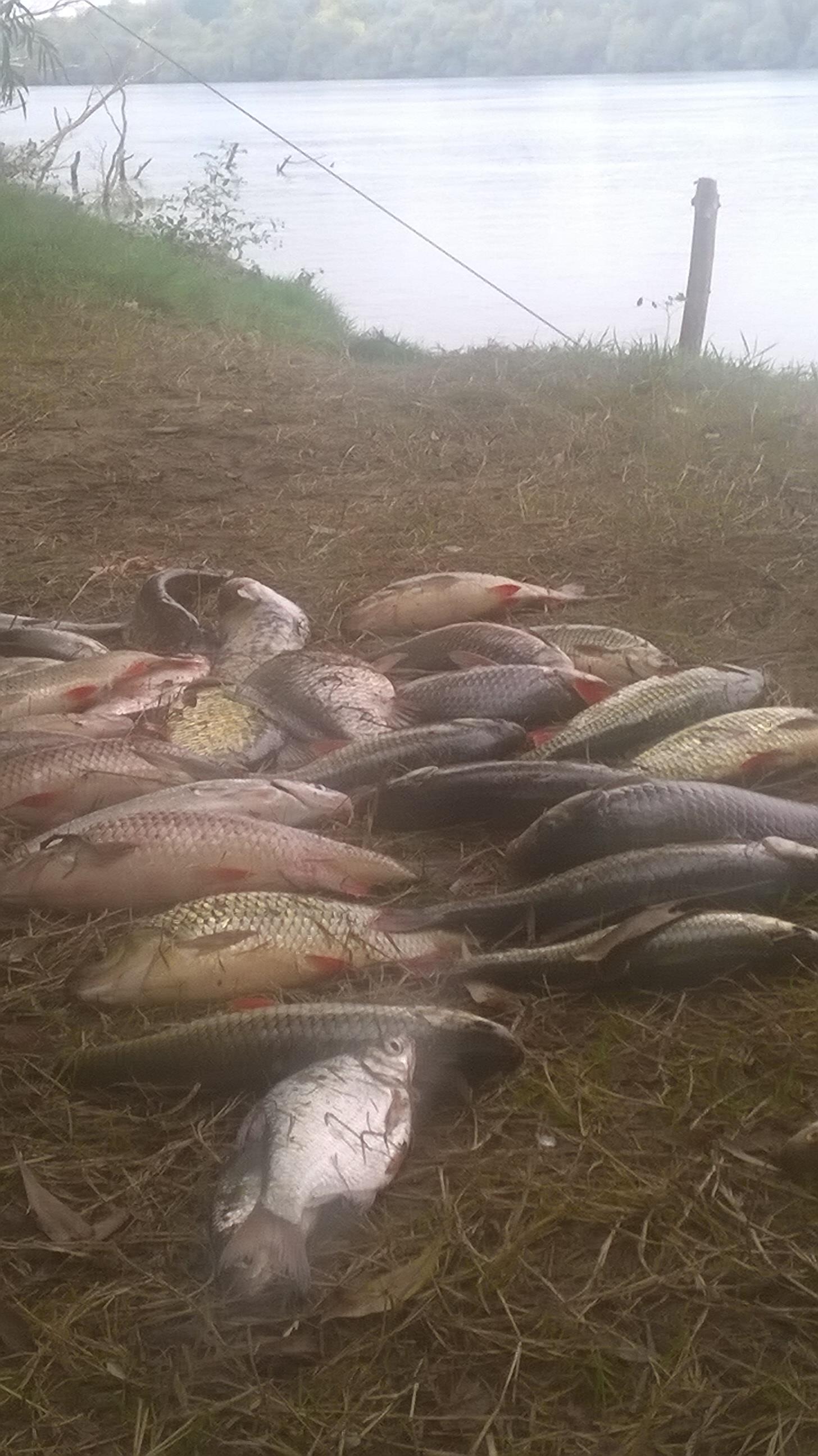 delta - wp20151006121935pro.jpg